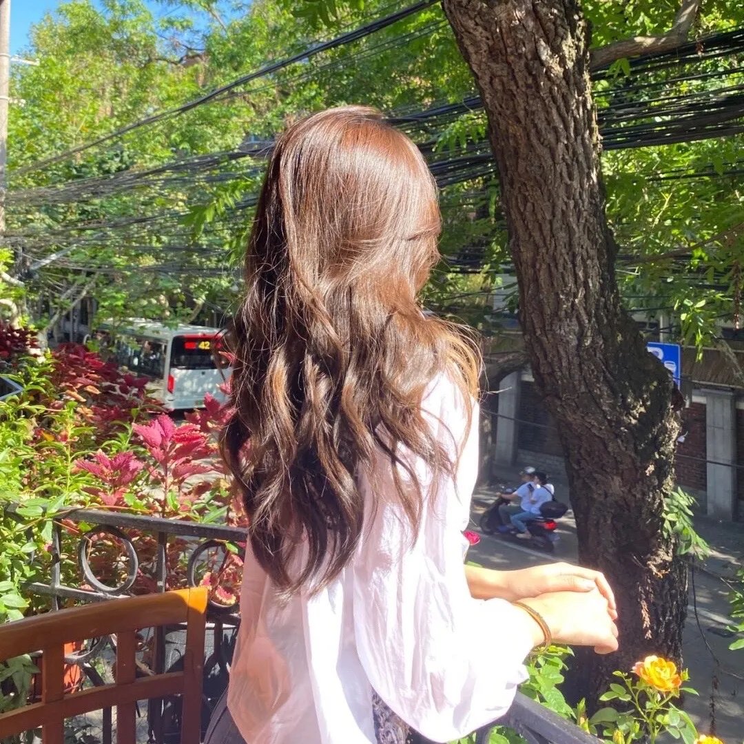 超完美狗保姆